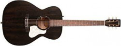 Art and Lutherie Legacy